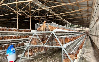 WhatsApp Image 2024-05-29 at 22.04.19 (17)